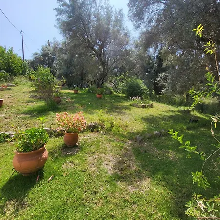 Ξενοδοχείο με διαμερίσματα Dimitra